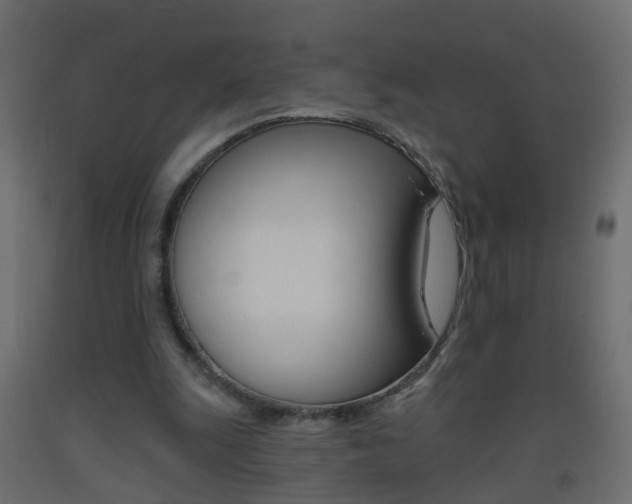 X0000093500247200710121049