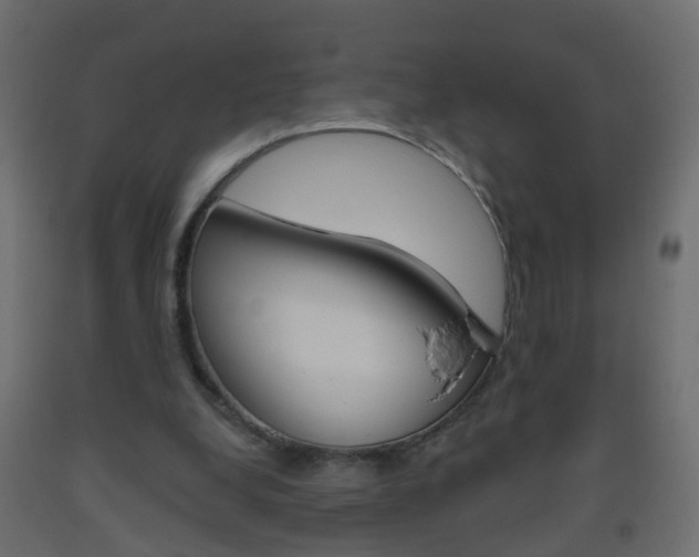 X0000093500248200710121049