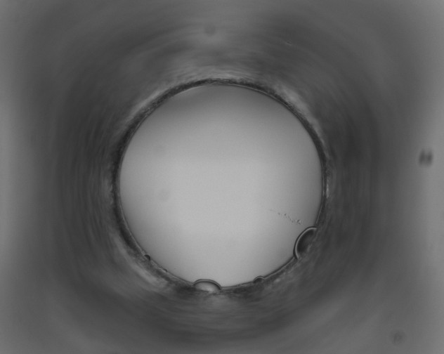 X0000093500249200710121049