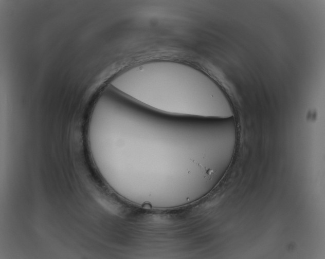 X0000093500250200710121049