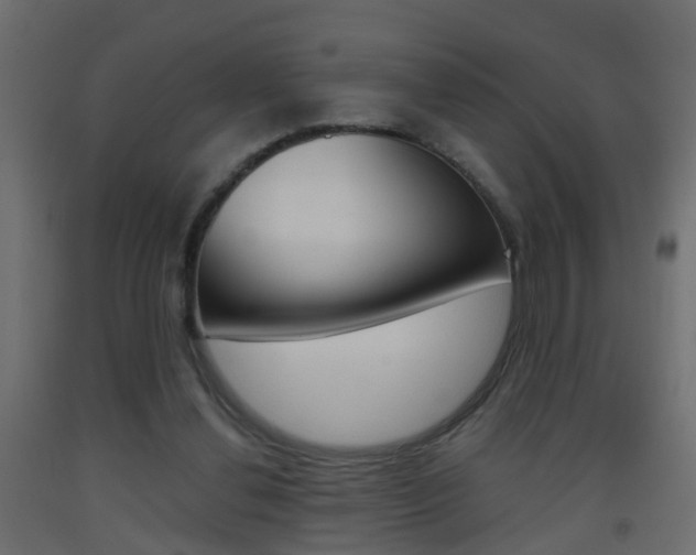 X0000093500252200710121049