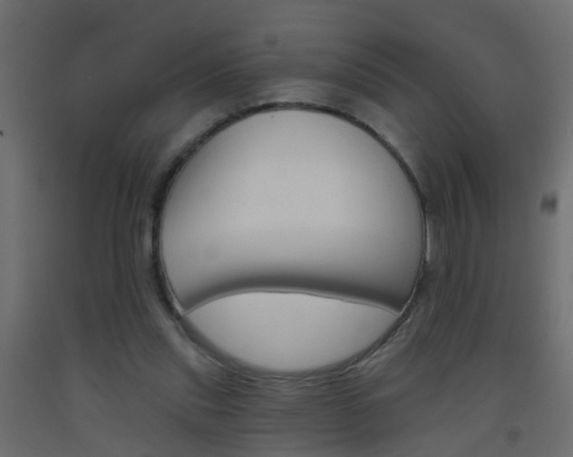 X0000093500253200710121049