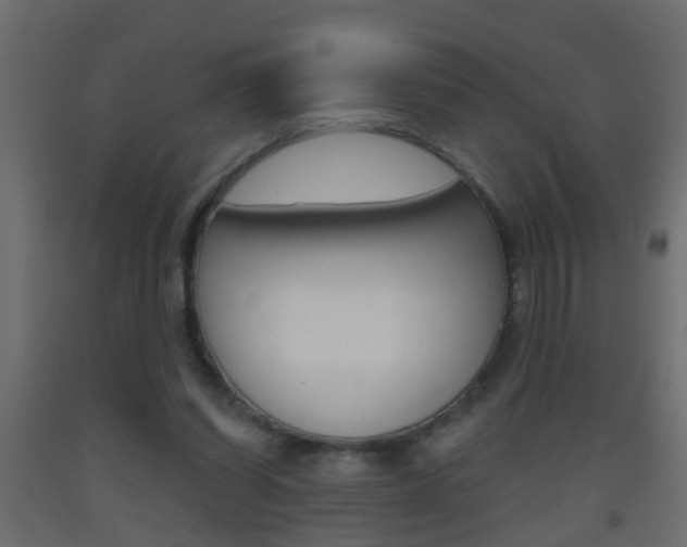 X0000093500254200710121049