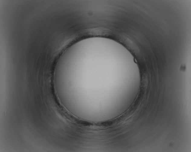 X0000093500255200710121049