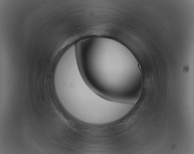 X0000093500256200710121049