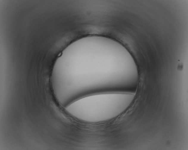 X0000093500257200710121049
