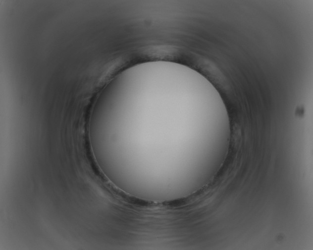 X0000093500259200710121049