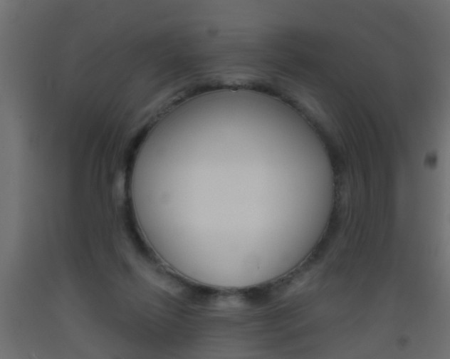 X0000093500262200710121049