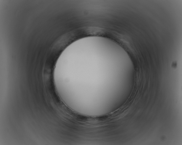 X0000093500263200710121049
