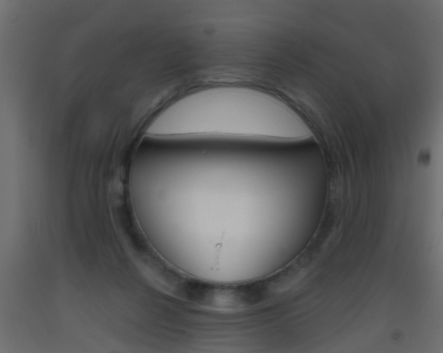 X0000093500264200710121049