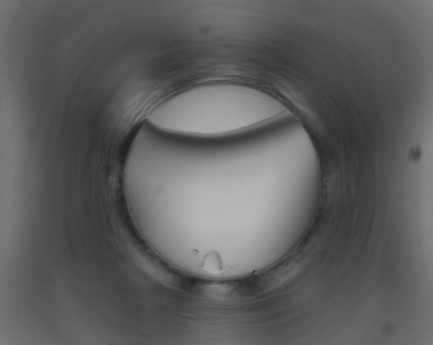 X0000093500265200710121049