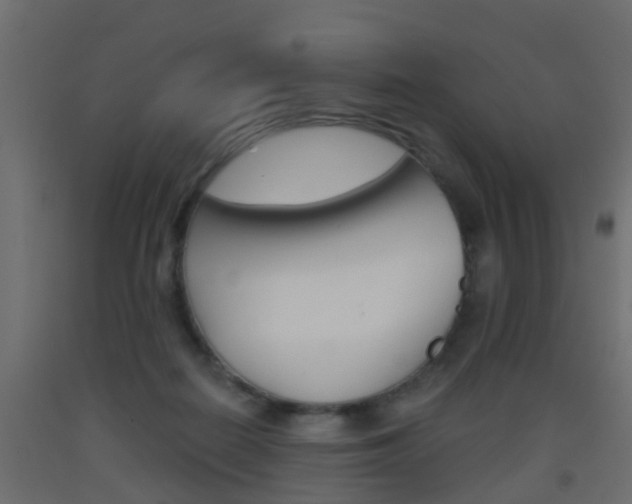 X0000093500266200710121049