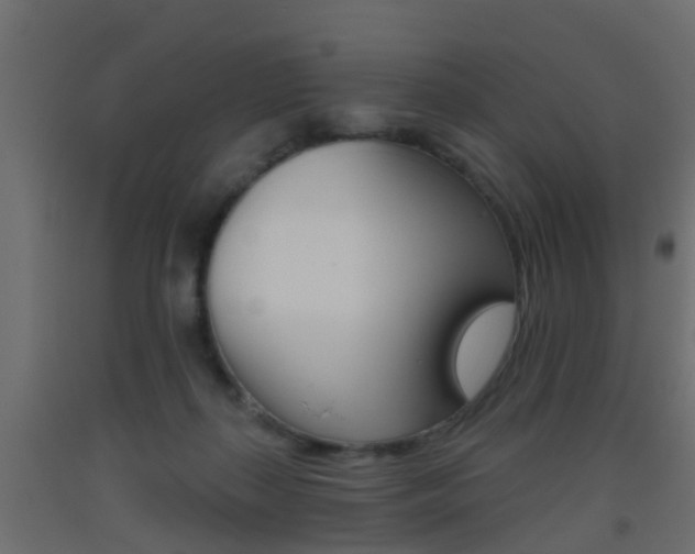 X0000093500267200710121049