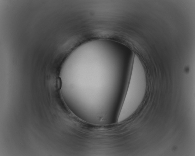 X0000093500268200710121049
