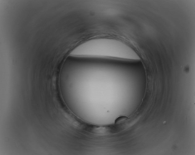 X0000093500269200710121049