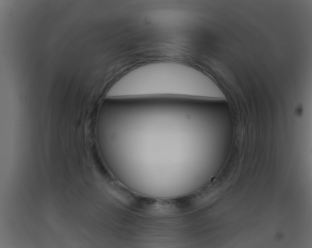 X0000093500270200710121049