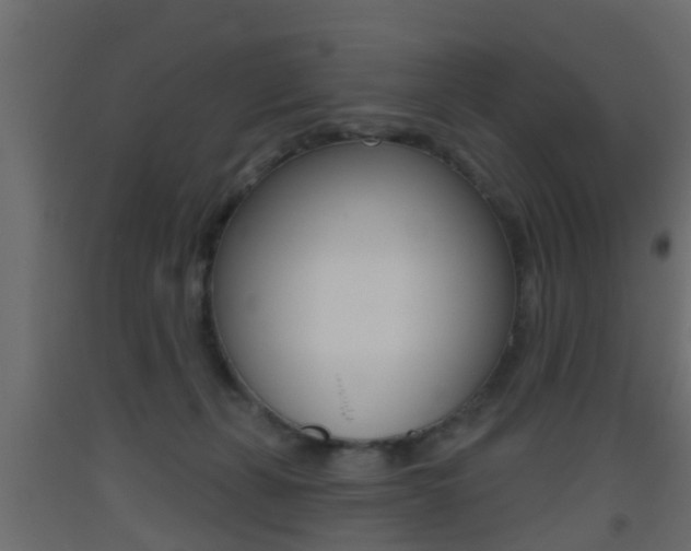X0000093500271200710121049