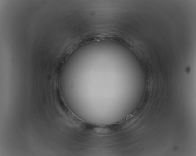 X0000093500272200710121049