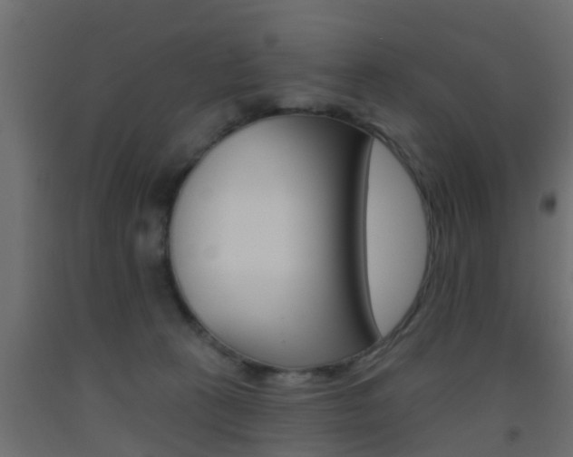 X0000093500273200710121049