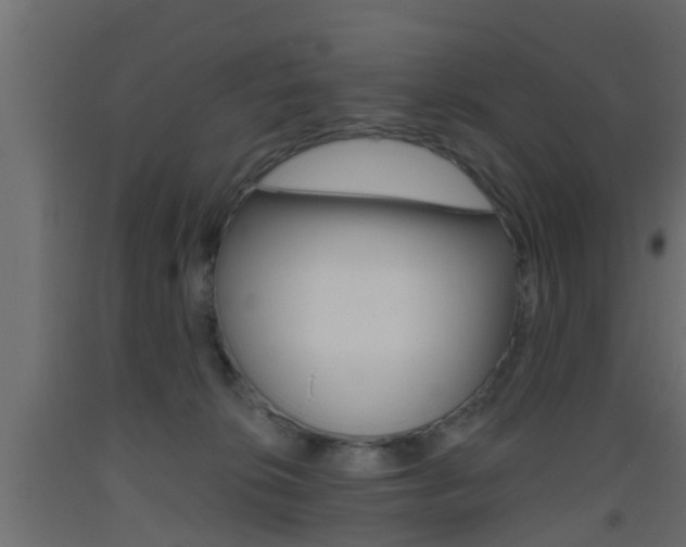 X0000093500276200710121049