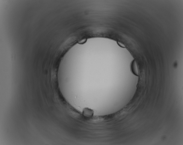 X0000093500278200710121049