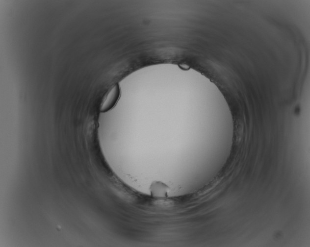 X0000093500279200710121049