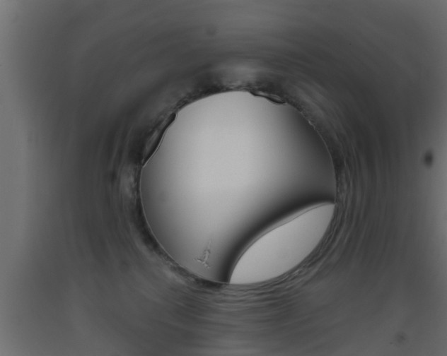 X0000093500280200710121049