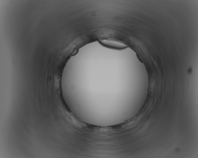 X0000093500282200710121049