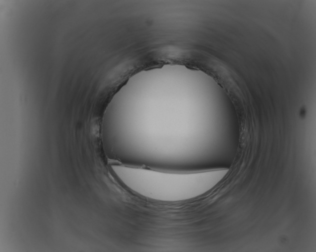 X0000093500284200710121049