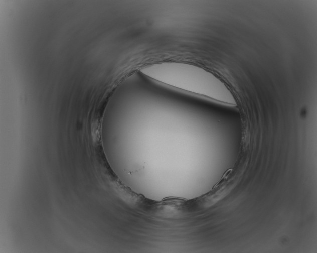 X0000093500285200710121049