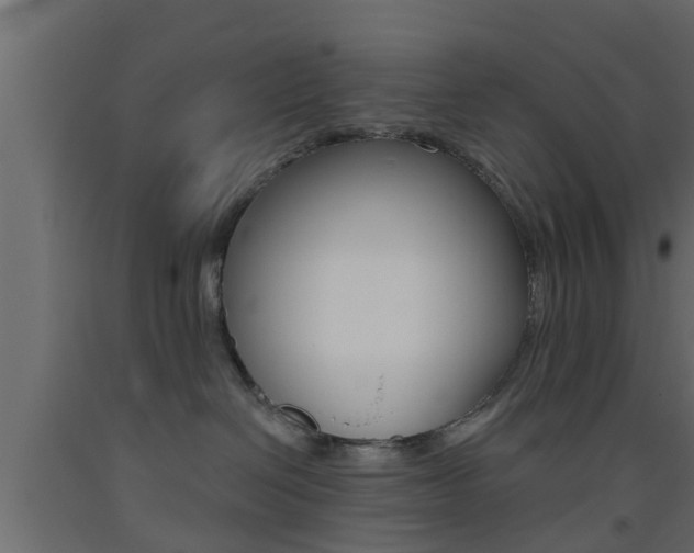 X0000093500286200710121049
