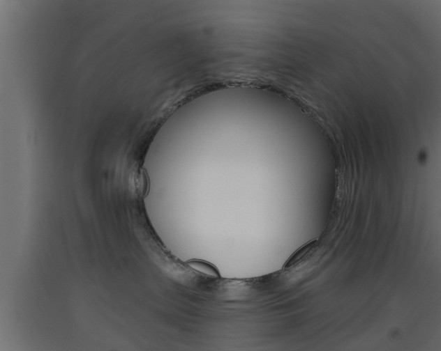 X0000093500287200710121049