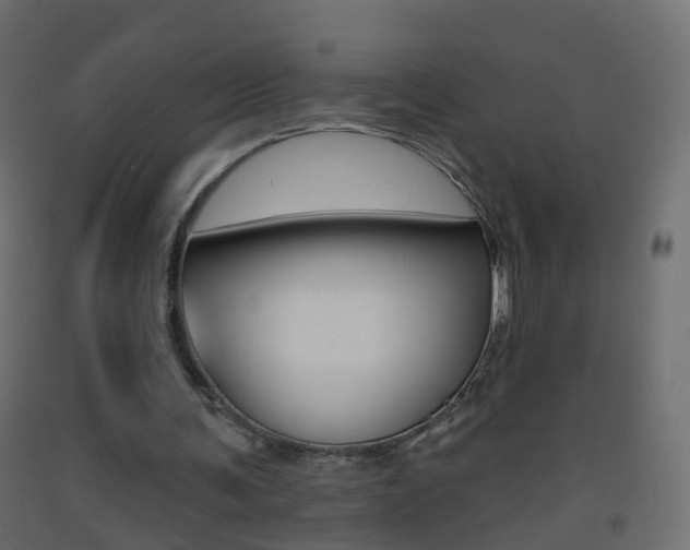 X0000093500291200710121049