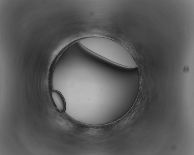 X0000093500292200710121049