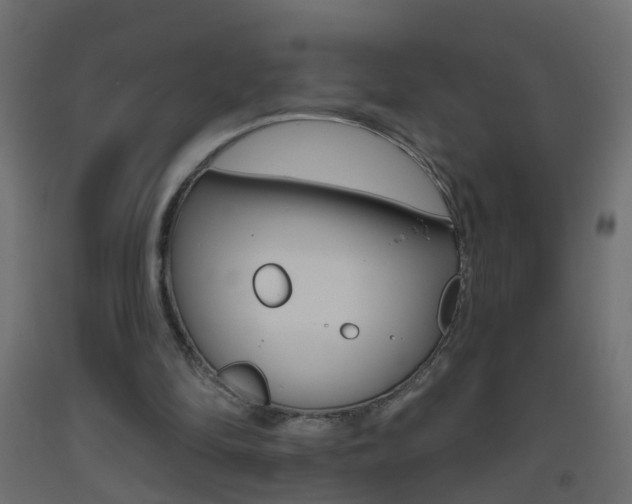 X0000093500294200710121049