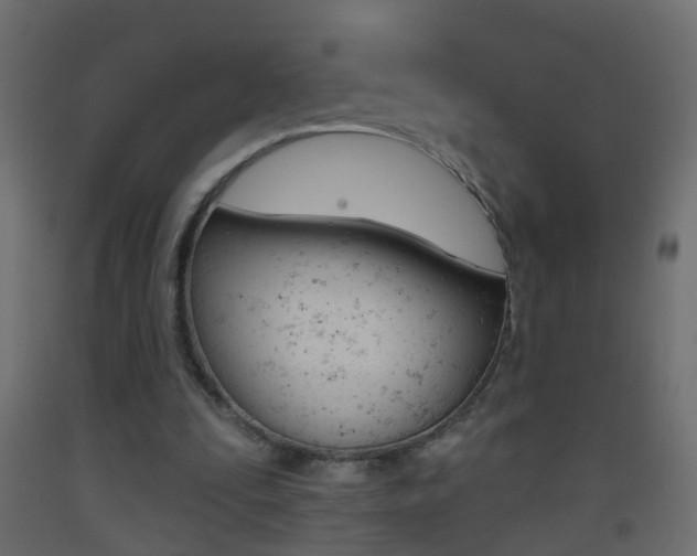 X0000093500295200710121049