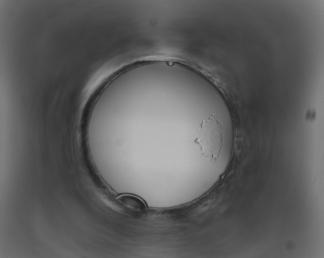 X0000093500296200710121049