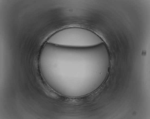 X0000093500297200710121049