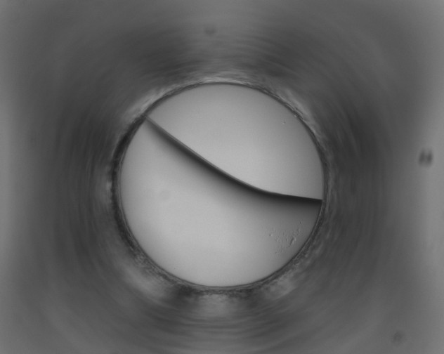 X0000093500298200710121049