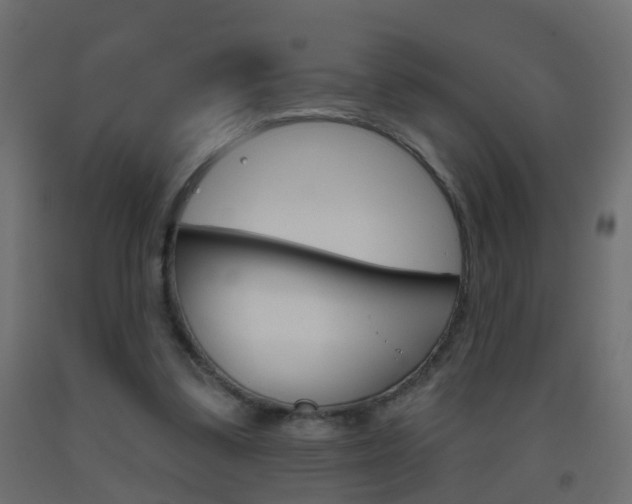 X0000093500299200710121049