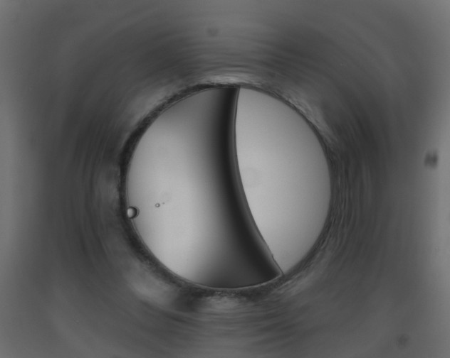 X0000093500300200710121049