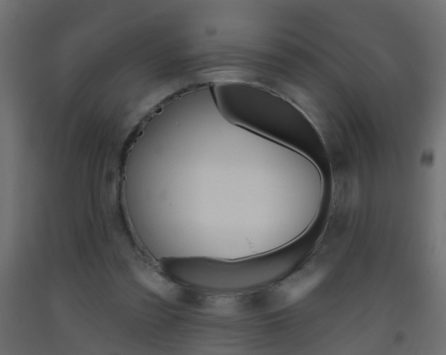 X0000093500301200710121049