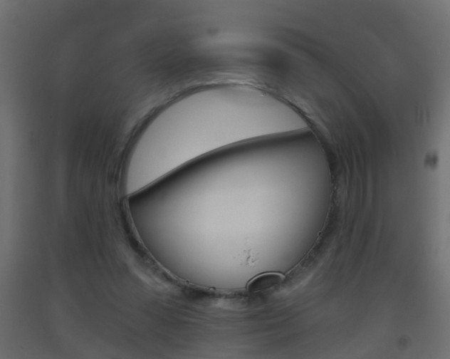 X0000093500303200710121049