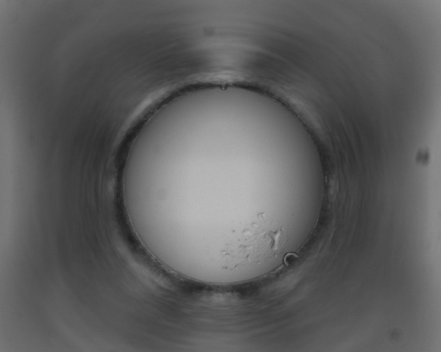 X0000093500304200710121049