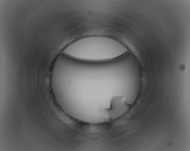X0000093500305200710121049