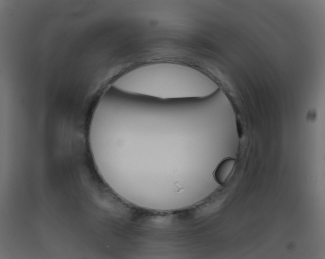 X0000093500306200710121049