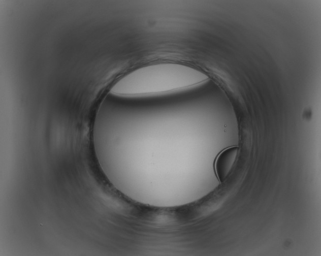 X0000093500308200710121049