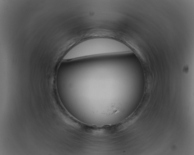 X0000093500309200710121049