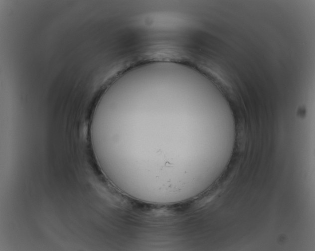 X0000093500310200710121049