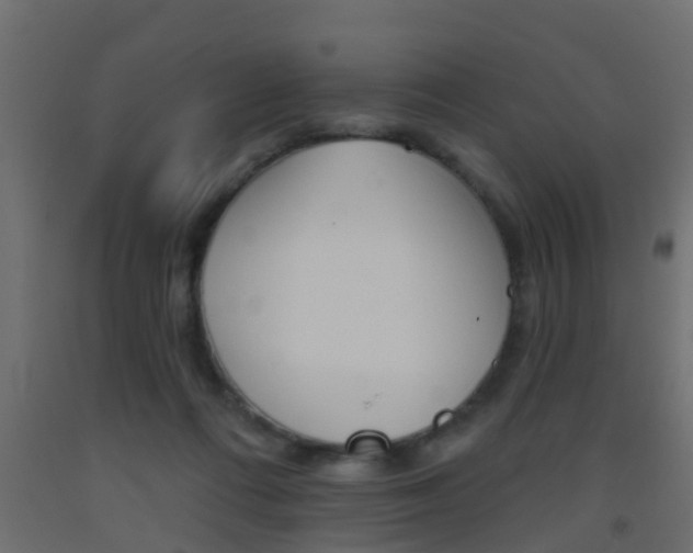 X0000093500312200710121049